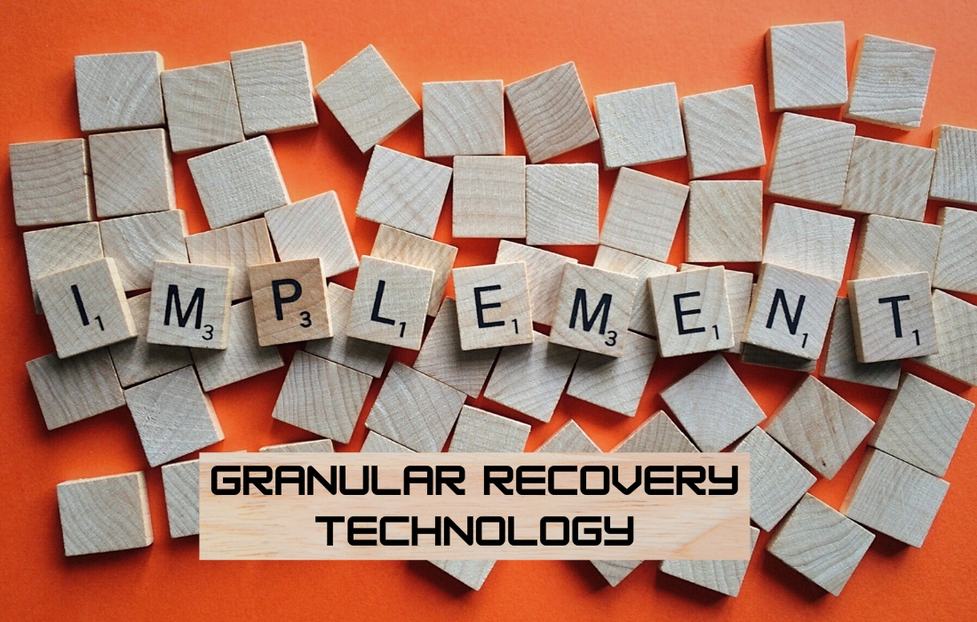 Granular Recovery Technology