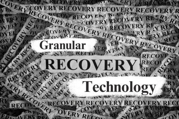 Granular Recovery Technology